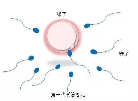 国内借卵借卵代孕网